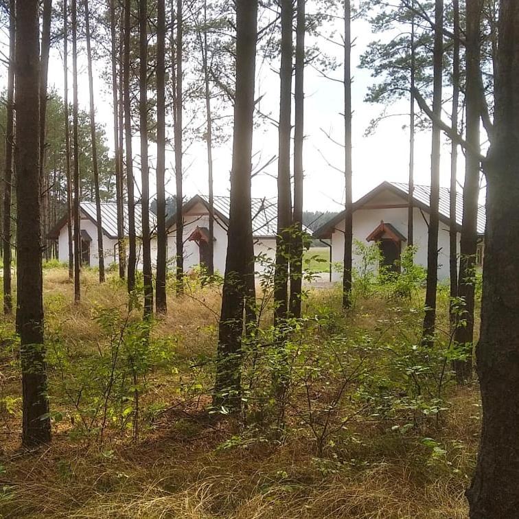 Villa Zurawia Polana Swietajno  Esterno foto