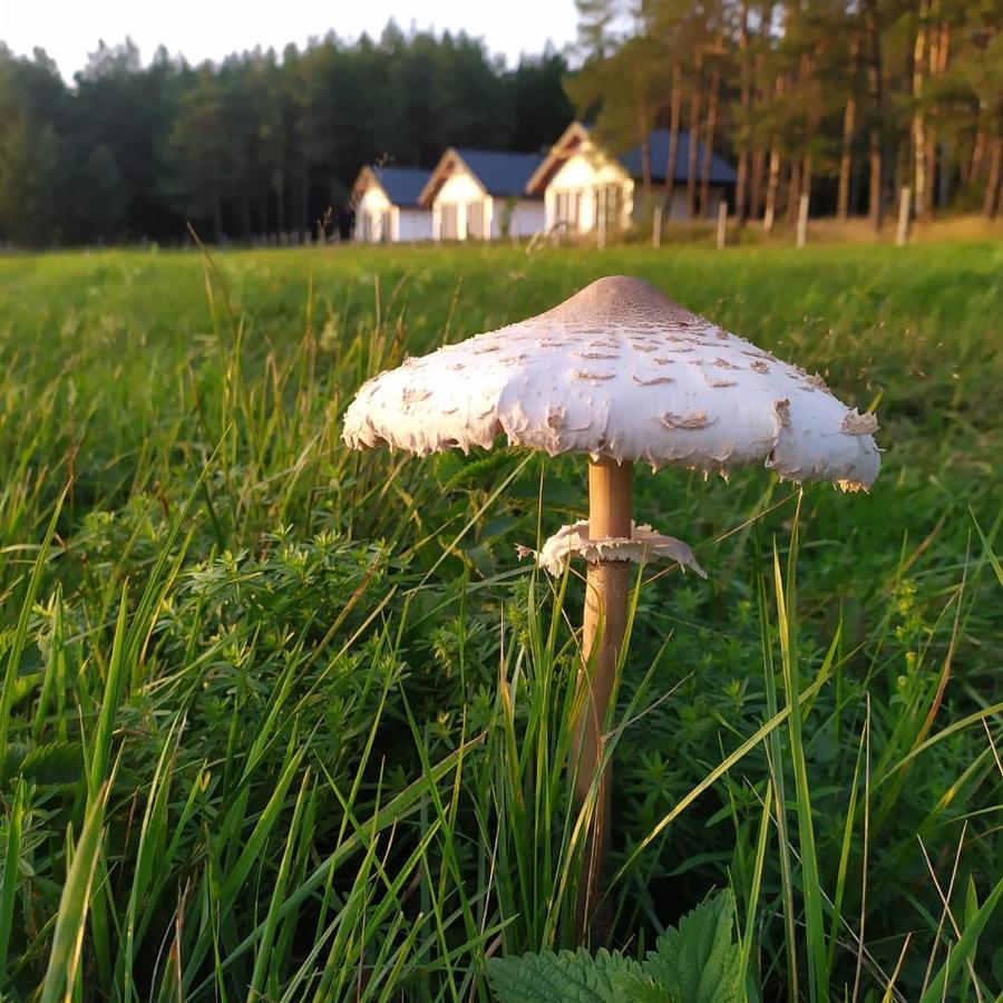Villa Zurawia Polana Swietajno  Esterno foto