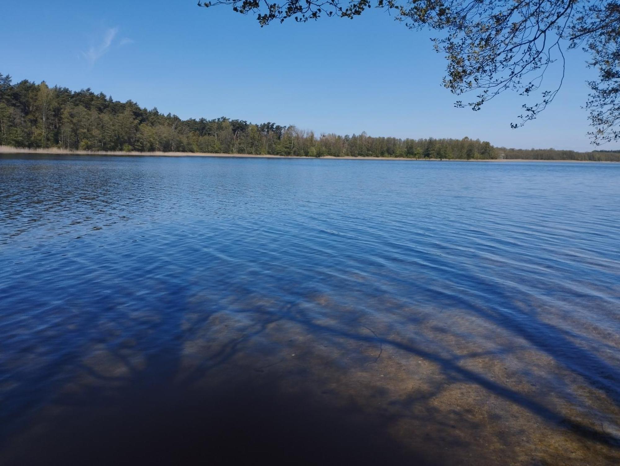 Villa Zurawia Polana Swietajno  Esterno foto