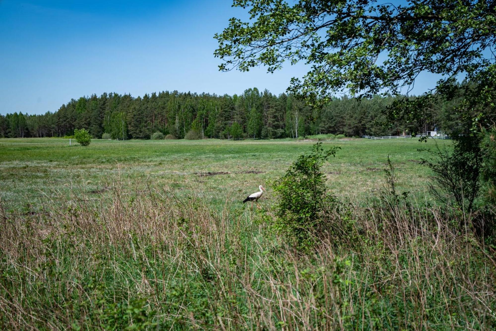 Villa Zurawia Polana Swietajno  Esterno foto