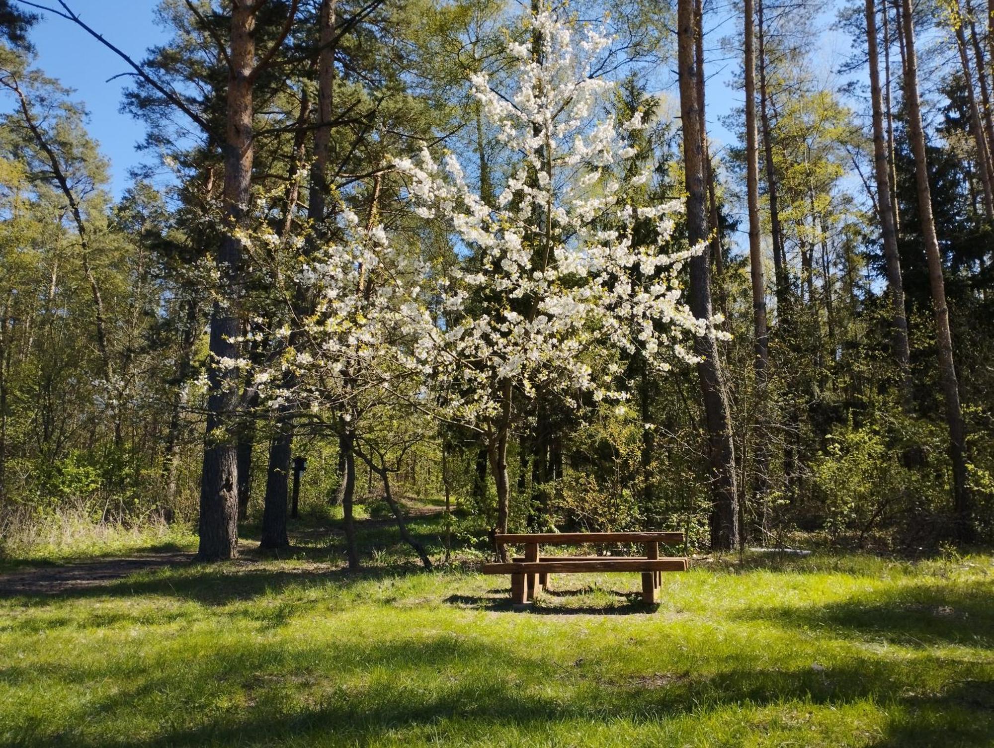 Villa Zurawia Polana Swietajno  Esterno foto